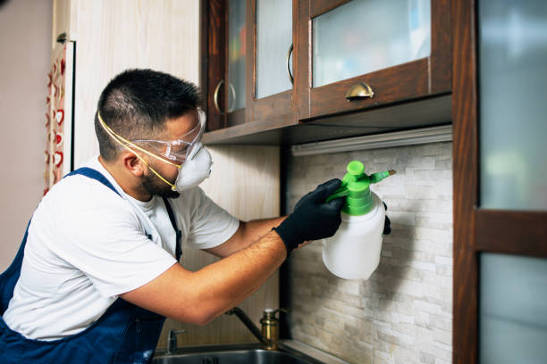 Best Pest Prevention Services  in Urbana, IL