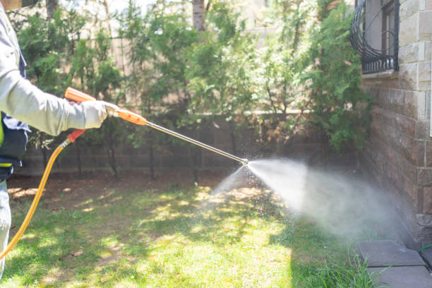 Reliable Urbana, IL Pest Control Solutions