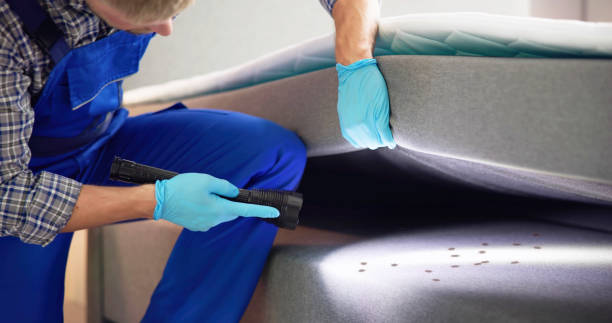 Best Affordable Exterminators  in Urbana, IL