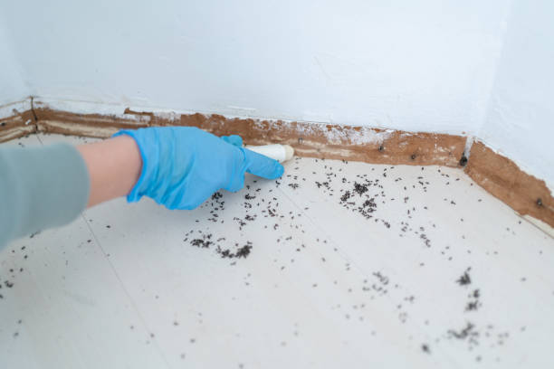 Best Best Pest Control Companies  in Urbana, IL